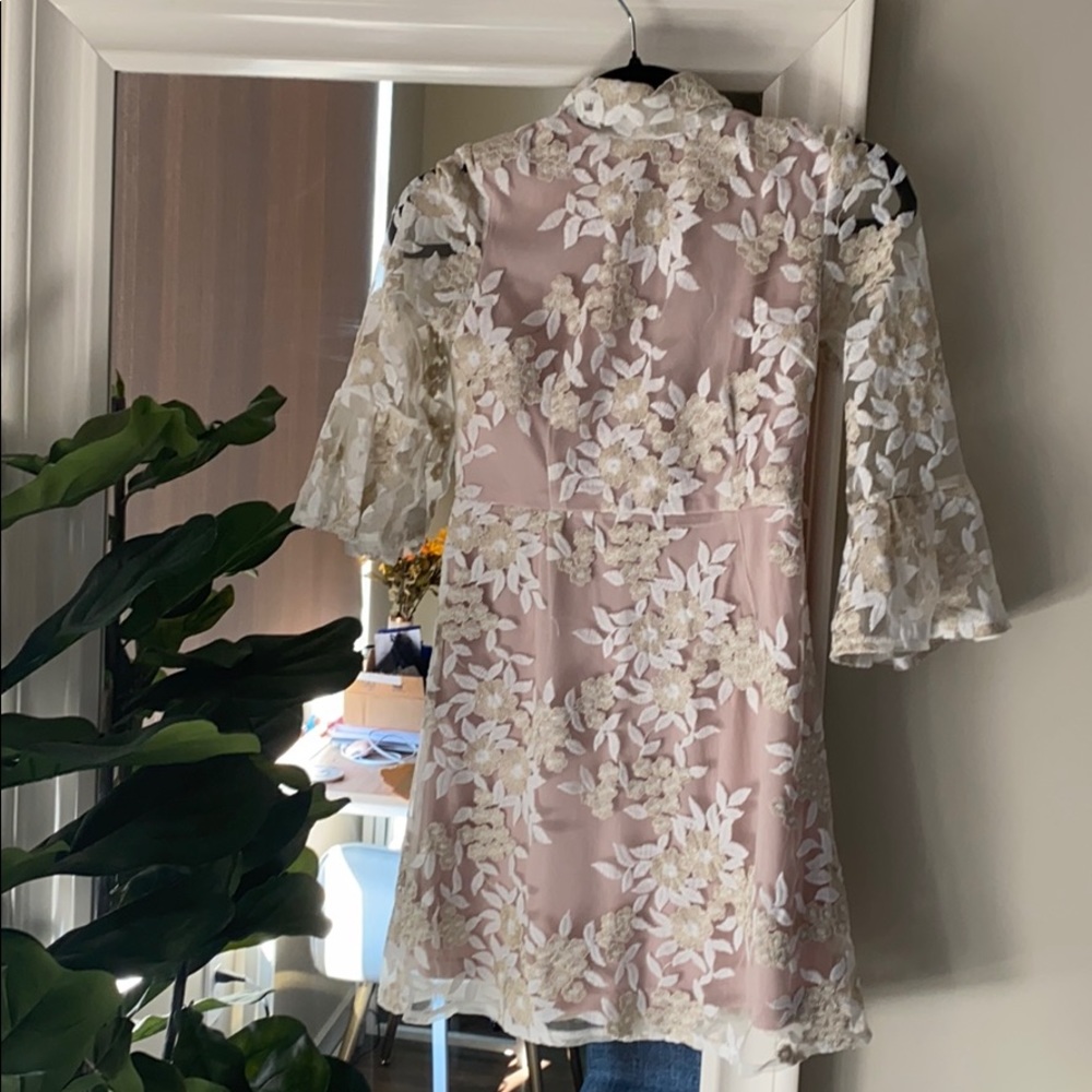 NWT gorgeous lace detail dress